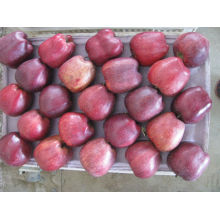 Sweet apple fresh huniu apple in low price